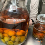 Umeshu 1 year later