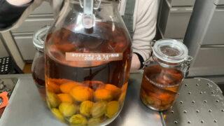 Umeshu 1 year later