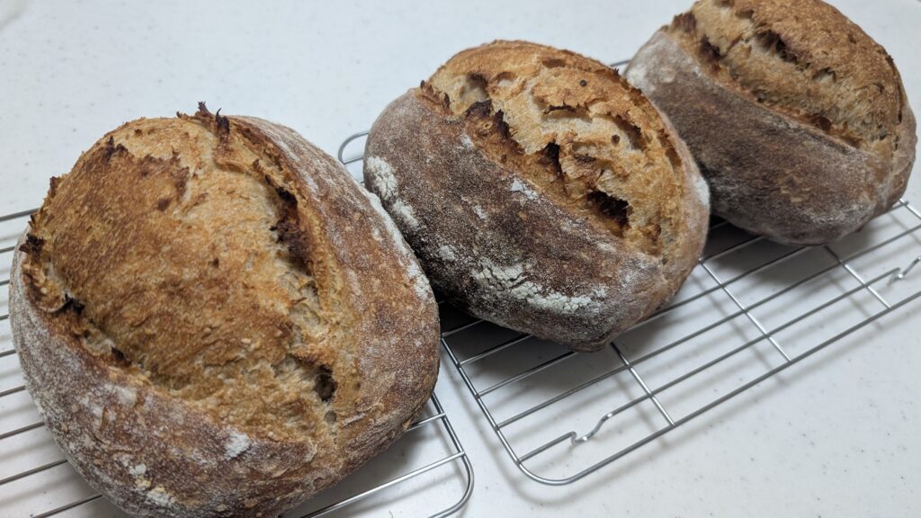 Homemade campagne